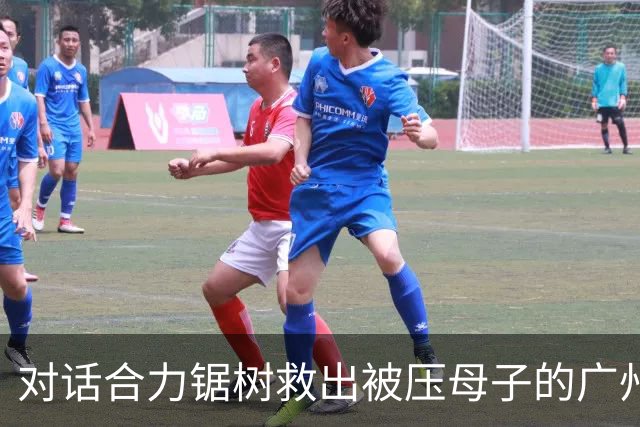 对话合力锯树救出被压母子的广州好心人：第一时间只想救人